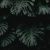 Photo Image: Dark curtains