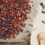 Photo Seed mixtures