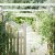 Photo Low-maintenance garden