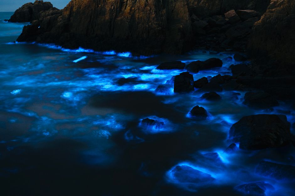 Glazen lamp met blauwe bioluminescentie