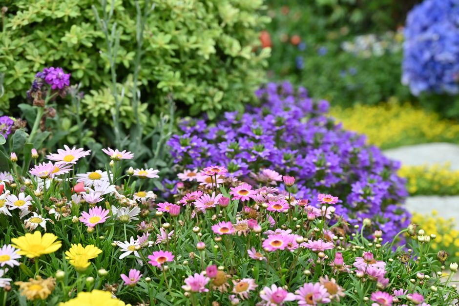 Regenton bij kleurrijke bloementuin in de zomer.
