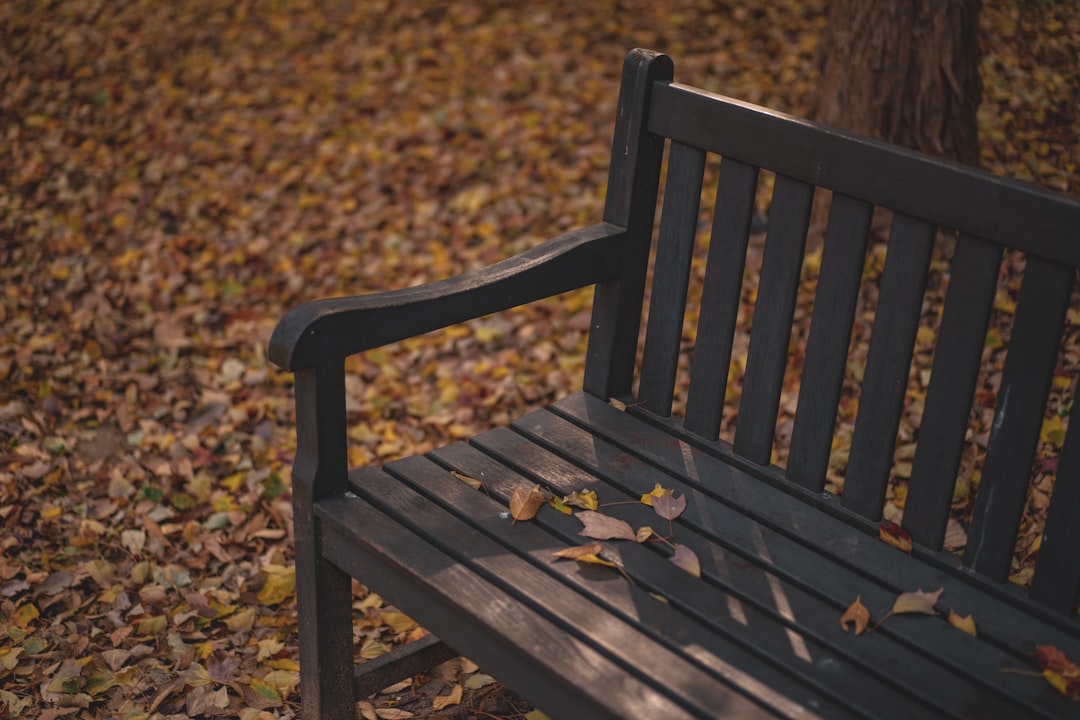 Een tuinkussen met herfstbladeren erop geplaatst. Een tuinkussen met herfstbladeren erop geplaatst.
